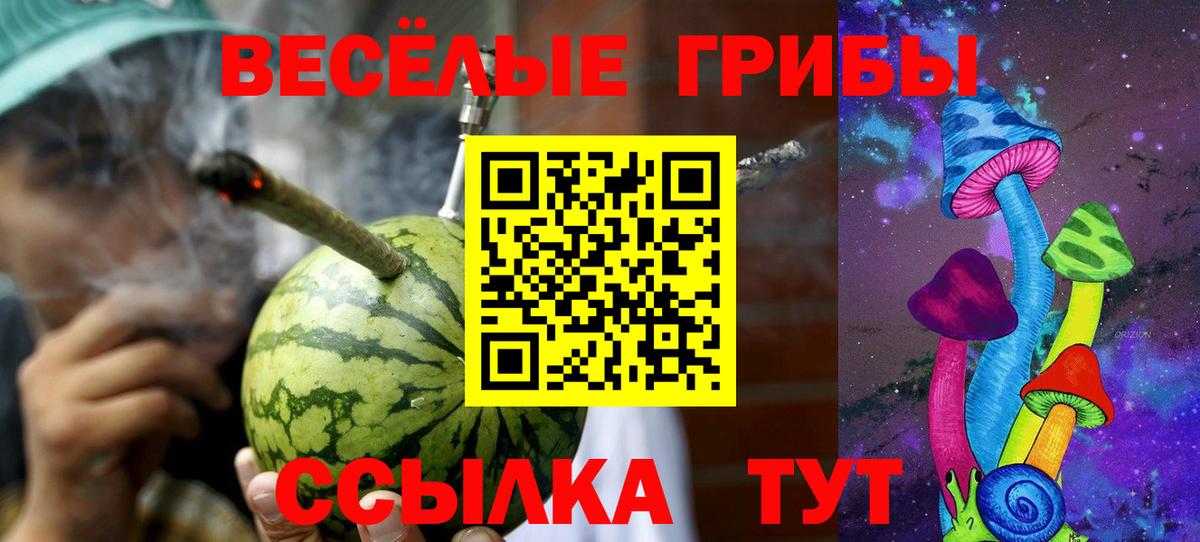 Галлюциногенные грибы Magic Shrooms Заречный